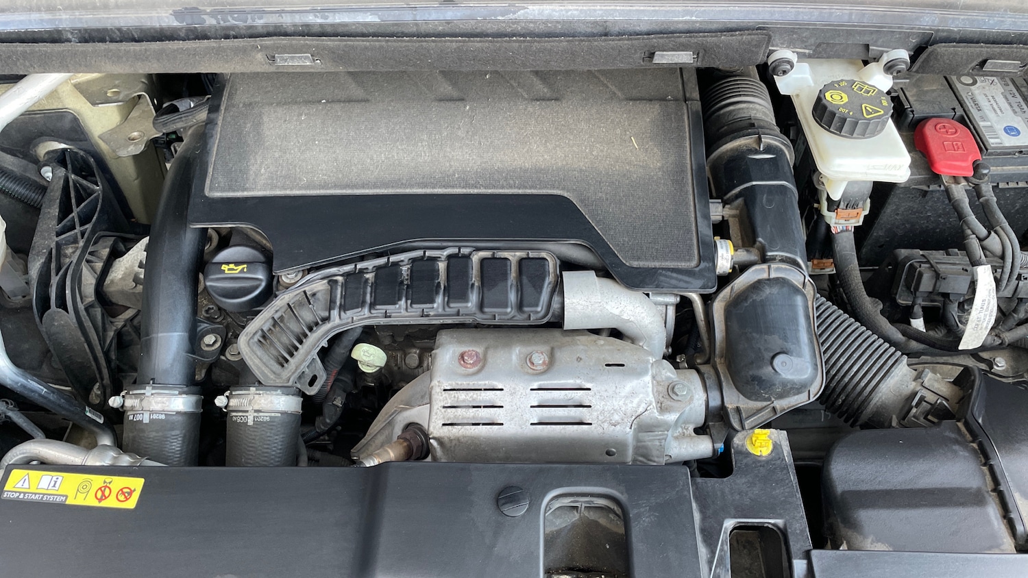 Used Citroen C4 2022 for sale - 77264316: Photo 16