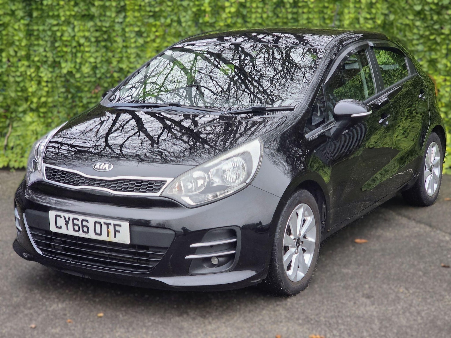 Used Kia Rio 2016 for sale - 77029153: Photo 16