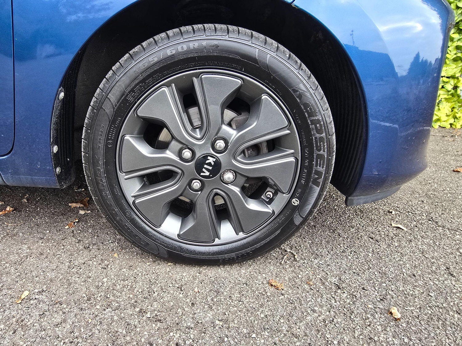 Used Kia Picanto 2016 for sale - 76920159: Photo 24