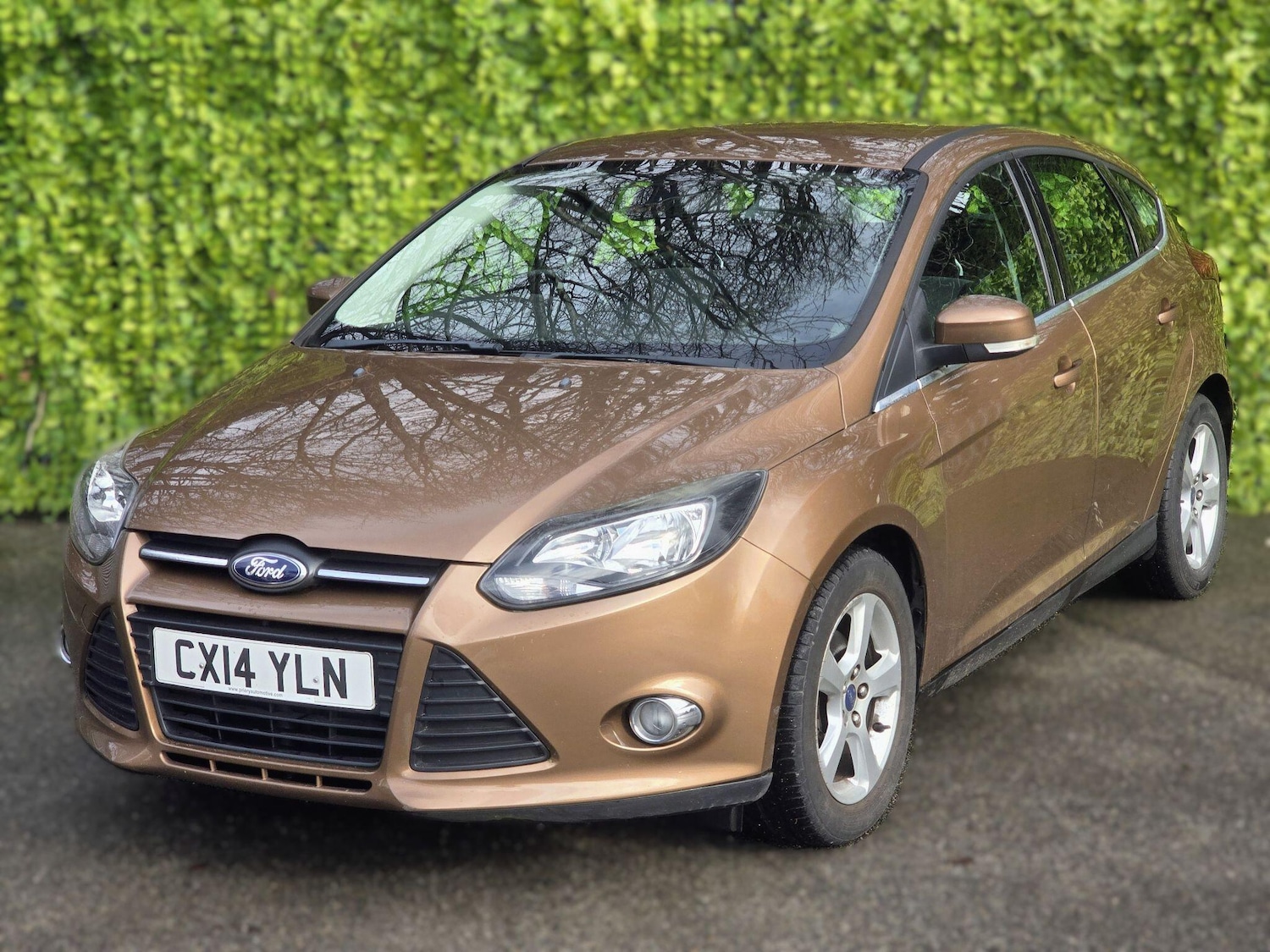 Used Ford Focus for sale - 77524827: Photo 15