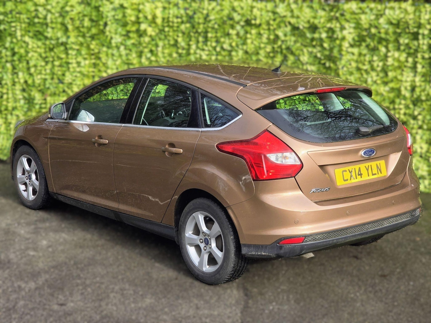 Used Ford Focus for sale - 77524827: Photo 21