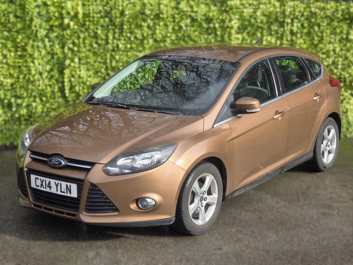 Used Ford Focus for sale - 77524827: Photo 23