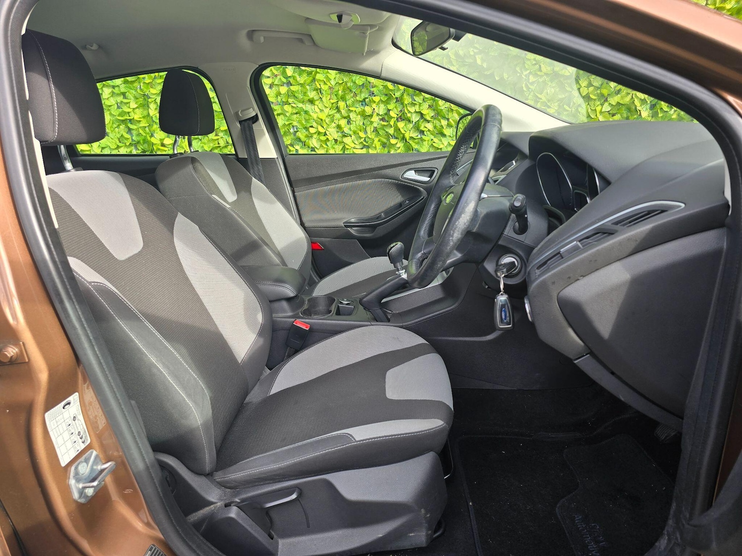 Used Ford Focus for sale - 77524827: Photo 4