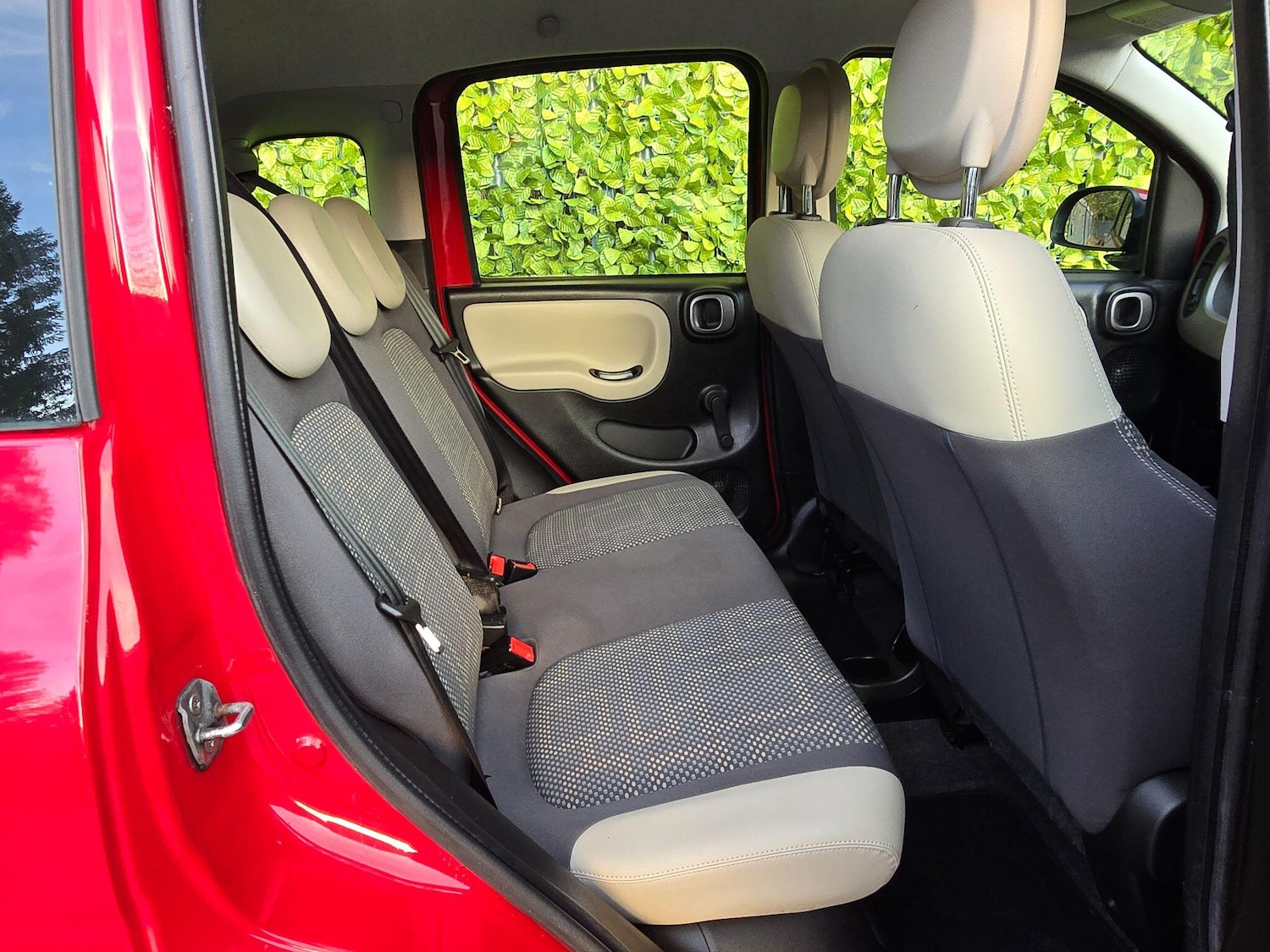 Used Fiat Panda for sale - 77067088: Photo 21