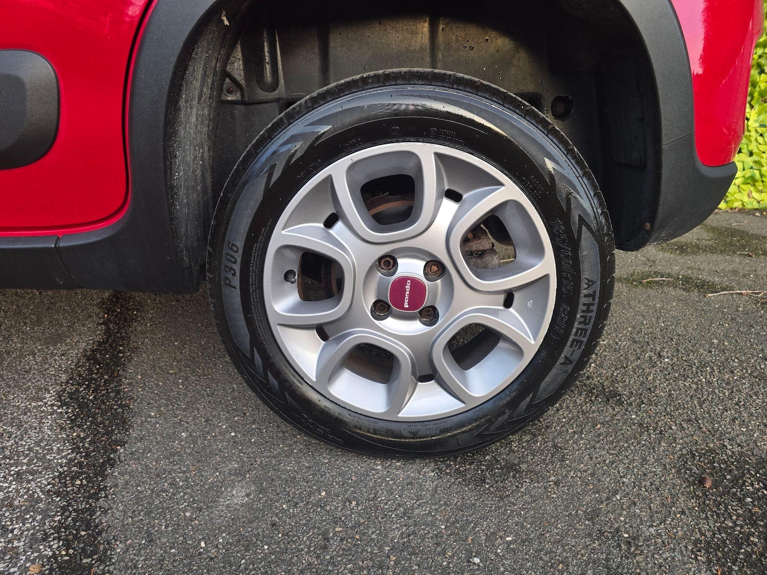 Used Fiat Panda for sale - 77067088: Photo 23