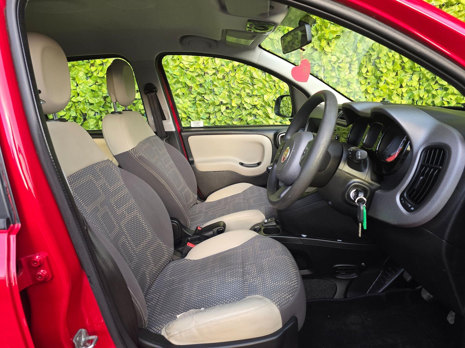 Used Fiat Panda for sale - 77067088: Photo 5