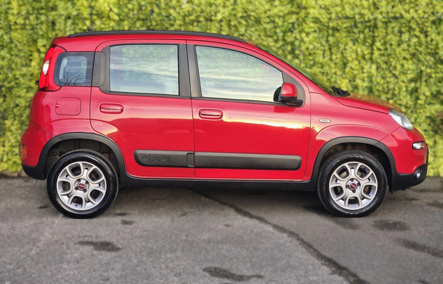 Used Fiat Panda for sale - 77067088: Photo 6