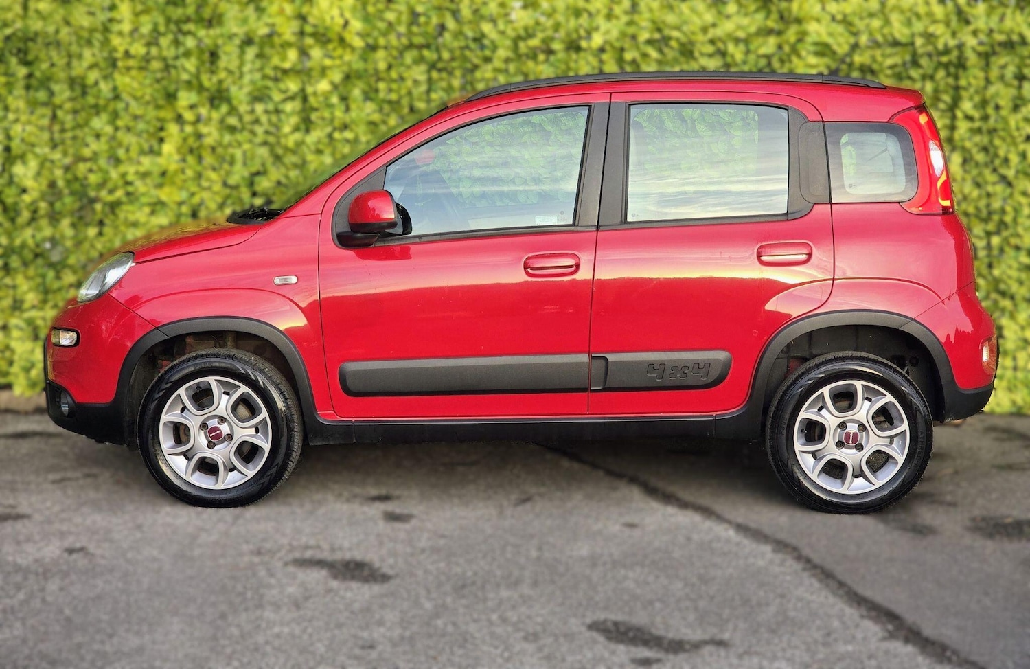 Used Fiat Panda for sale - 77067088: Photo 7