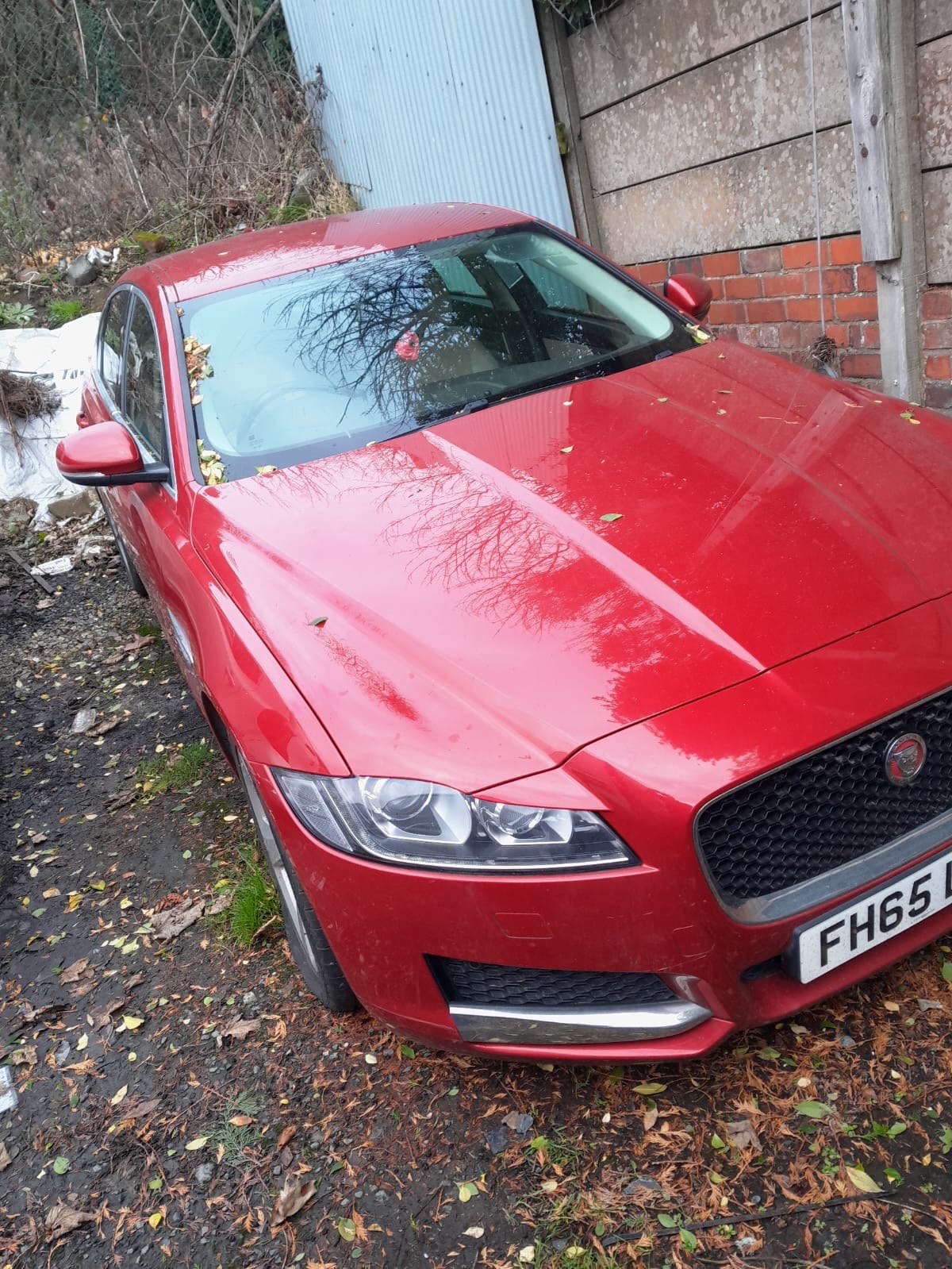 Used Jaguar XF 2015 for sale - 77095441: Photo 2