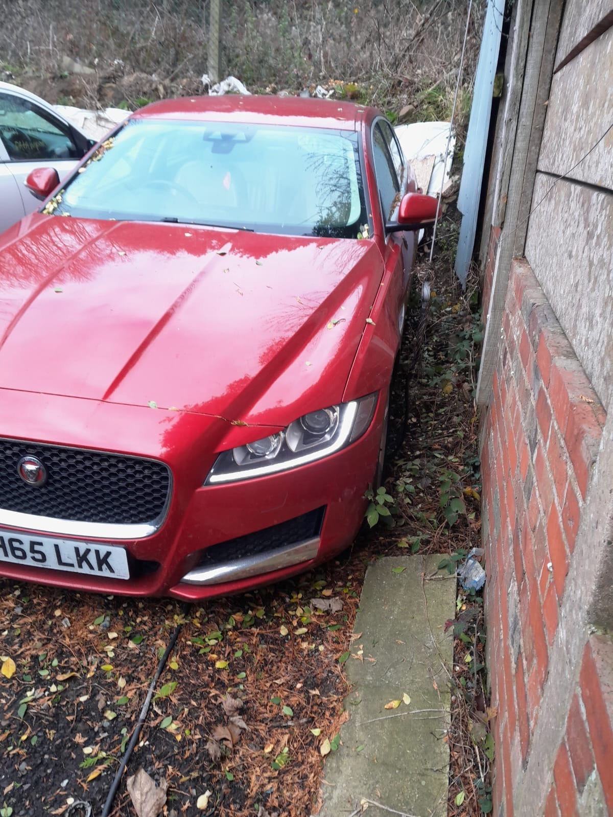 Used Jaguar XF 2015 for sale - 77095441: Photo 3