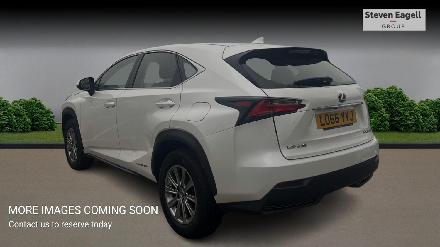 Used Lexus NX for sale - 77807860: Photo 2