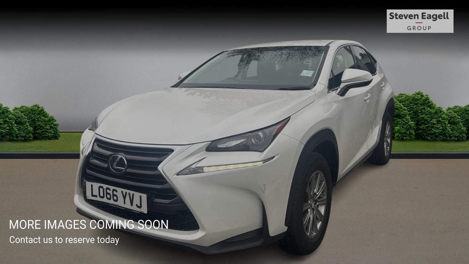 Used Lexus NX for sale - 77807860: Photo 3