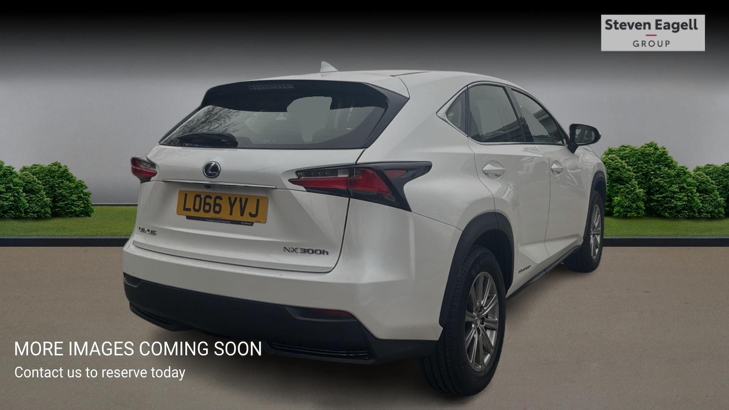 Used Lexus NX for sale - 77807860: Photo 6