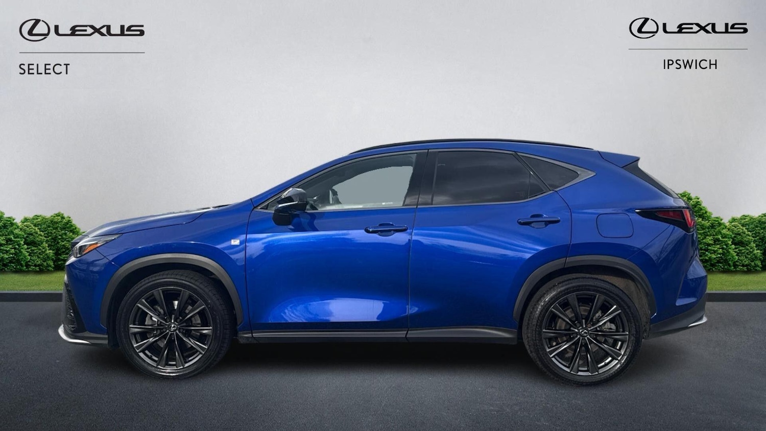 Used Lexus NX 2024 for sale - 77598244: Photo 3