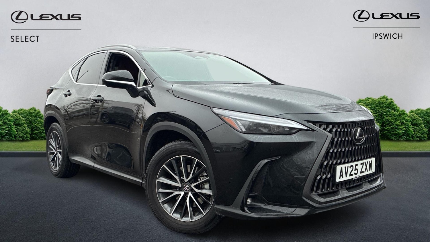Used Lexus NX 2025 for sale - 77377478: Photo 1