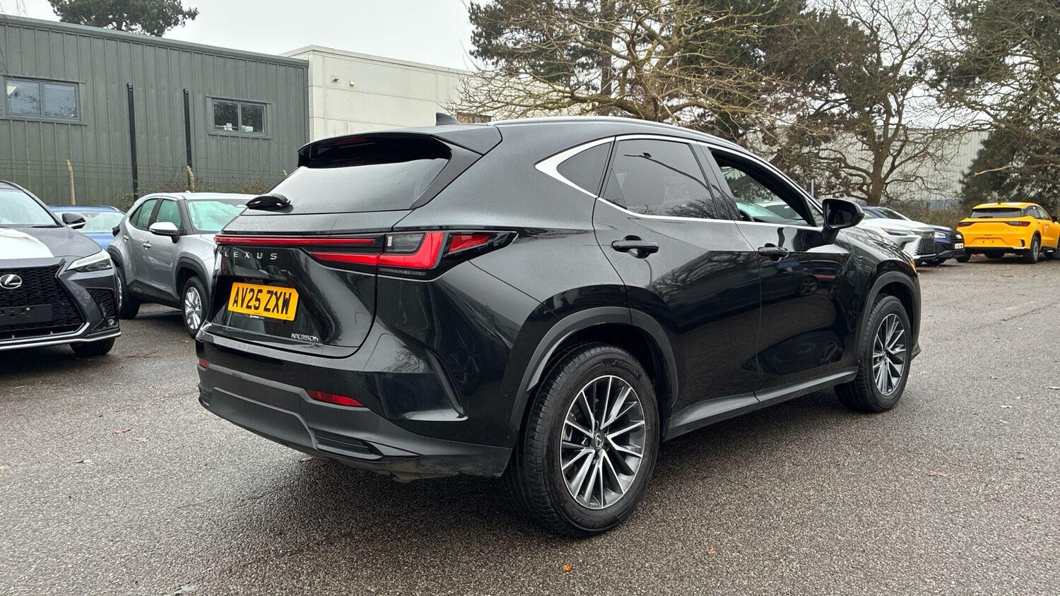 Used Lexus NX 2025 for sale - 77377478: Photo 10