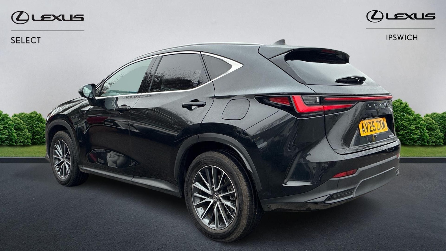 Used Lexus NX 2025 for sale - 77377478: Photo 5