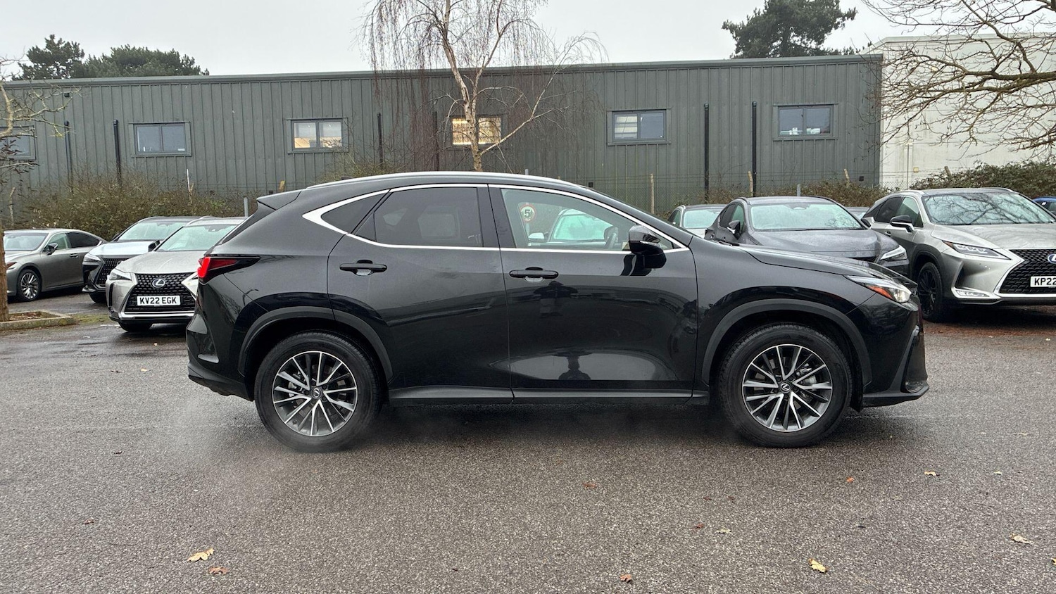 Used Lexus NX 2025 for sale - 77377478: Photo 9