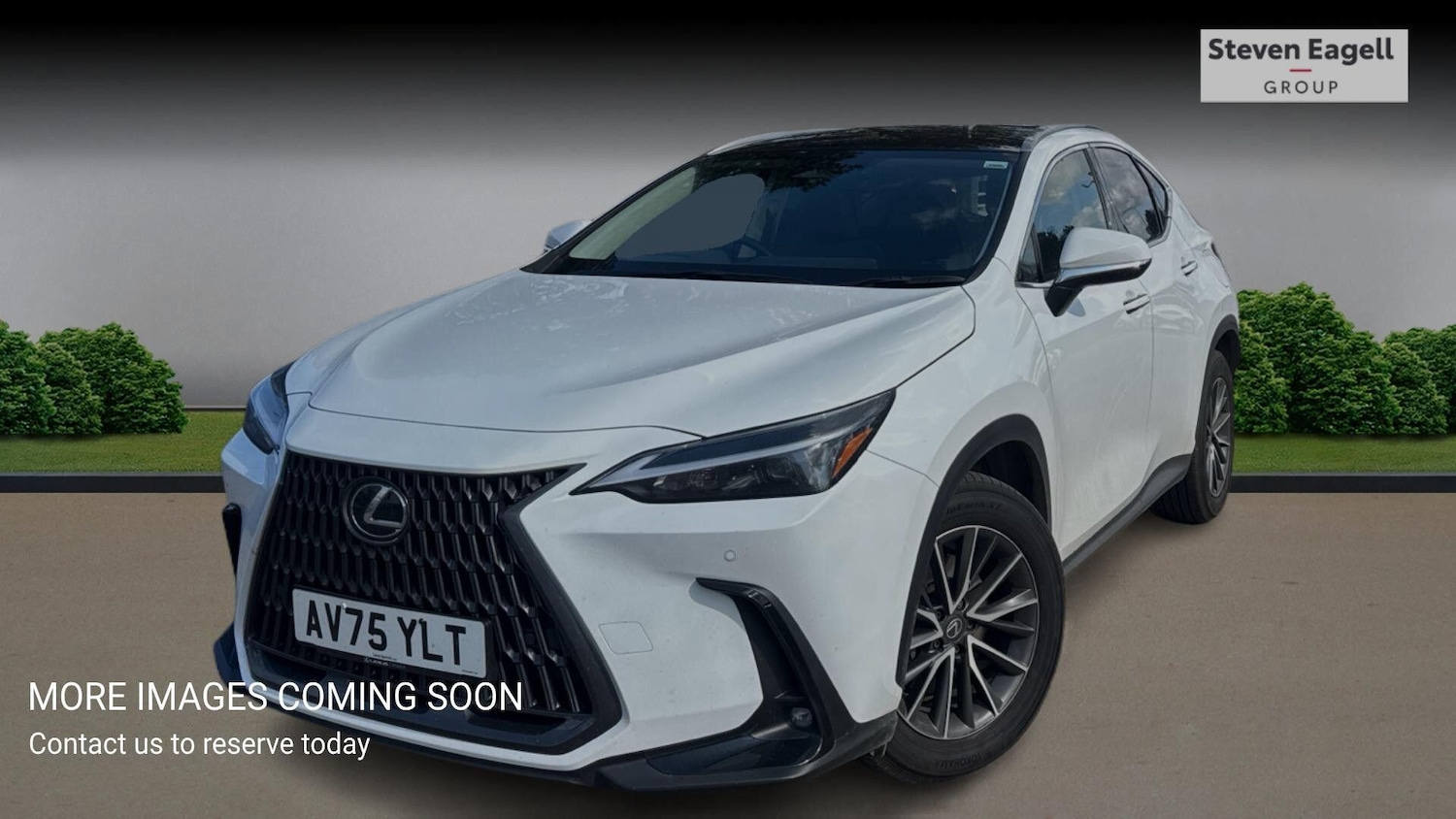 Used Lexus NX 2025 for sale - 78148296: Photo 3