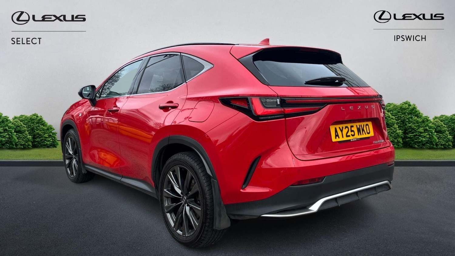 Used Lexus NX 2025 for sale - 77898581: Photo 2
