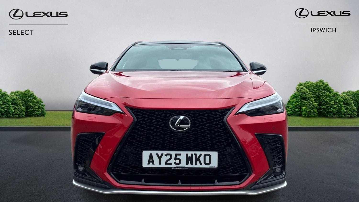 Used Lexus NX 2025 for sale - 77898581: Photo 6