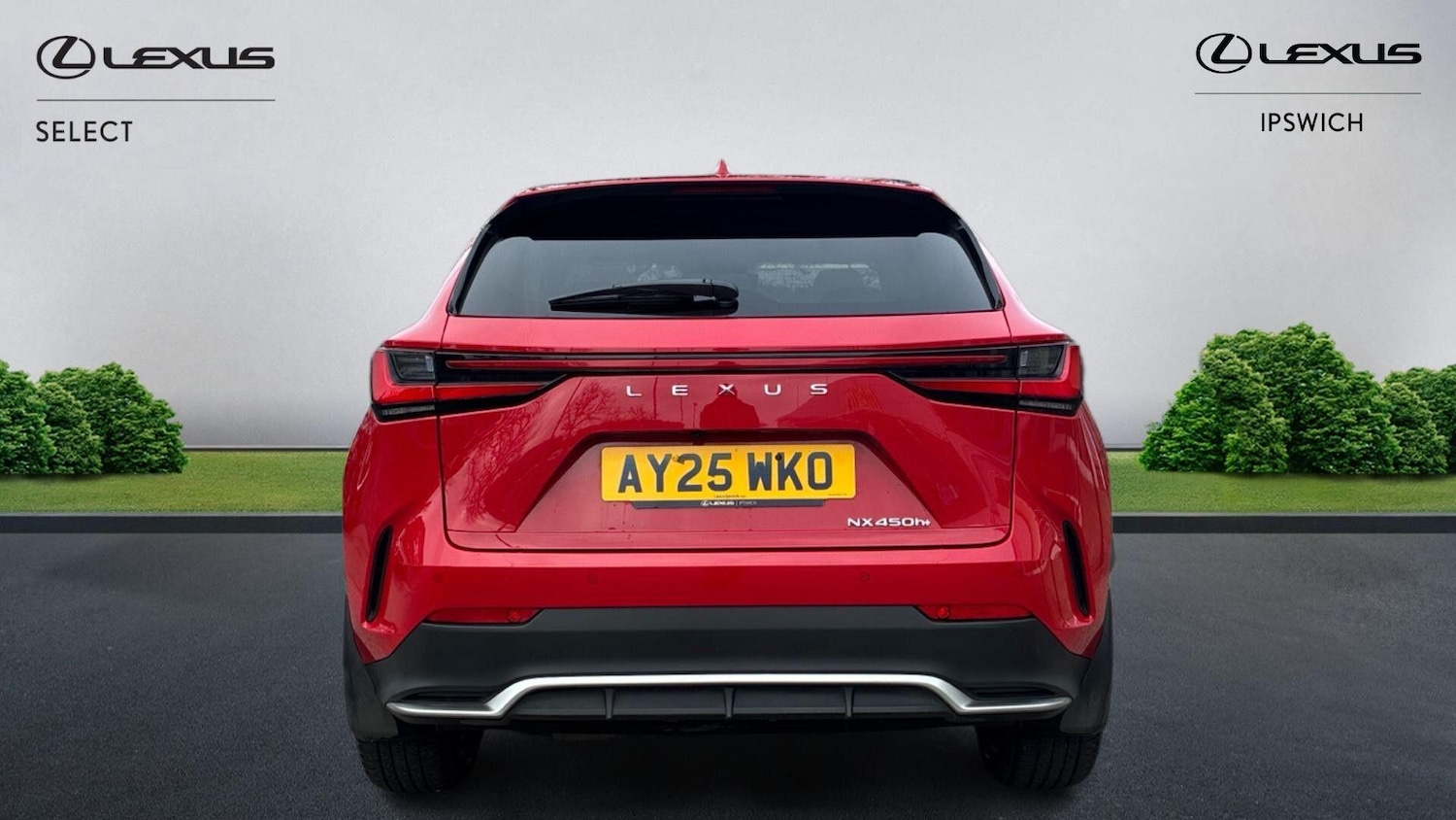 Used Lexus NX 2025 for sale - 77898581: Photo 7