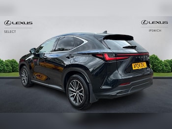 Used Lexus NX 2024 for sale - 78503752: Photo