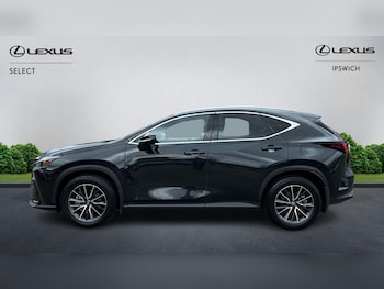 Used Lexus NX 2024 for sale - 78503752: Photo