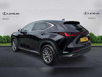Used Lexus NX 2024 for sale - 75464164: Photo