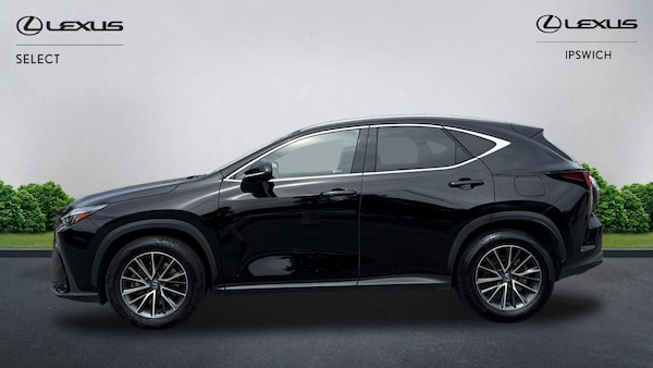 Used Lexus NX 2024 for sale - 75464164: Photo 3