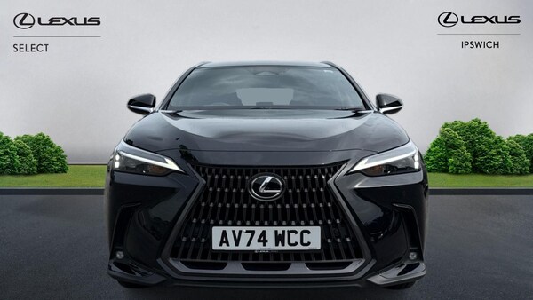 Used Lexus NX 2024 for sale - 75464164: Photo 6