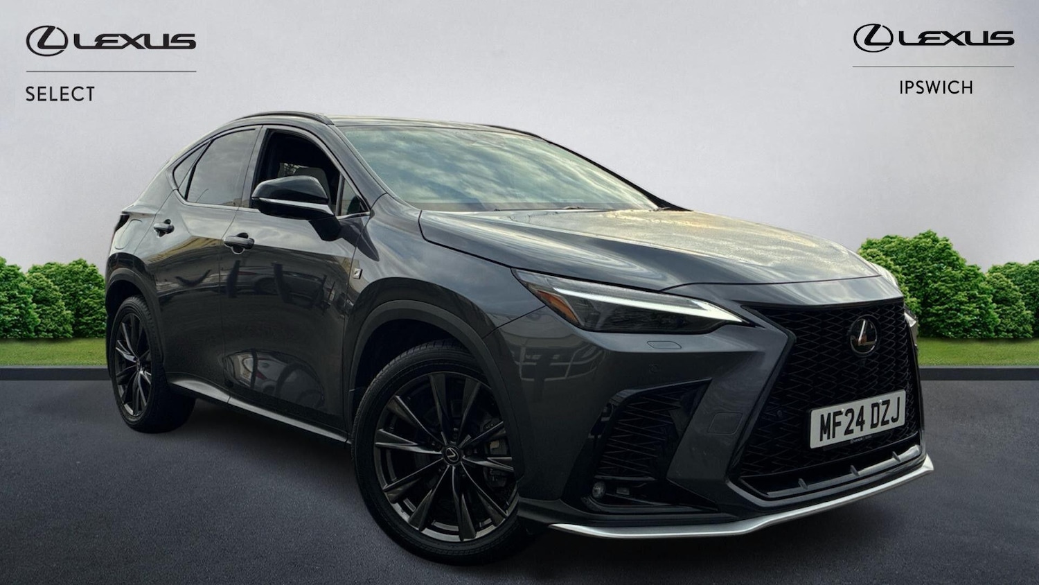 Used Lexus NX 2024 for sale - 77377592: Photo 1