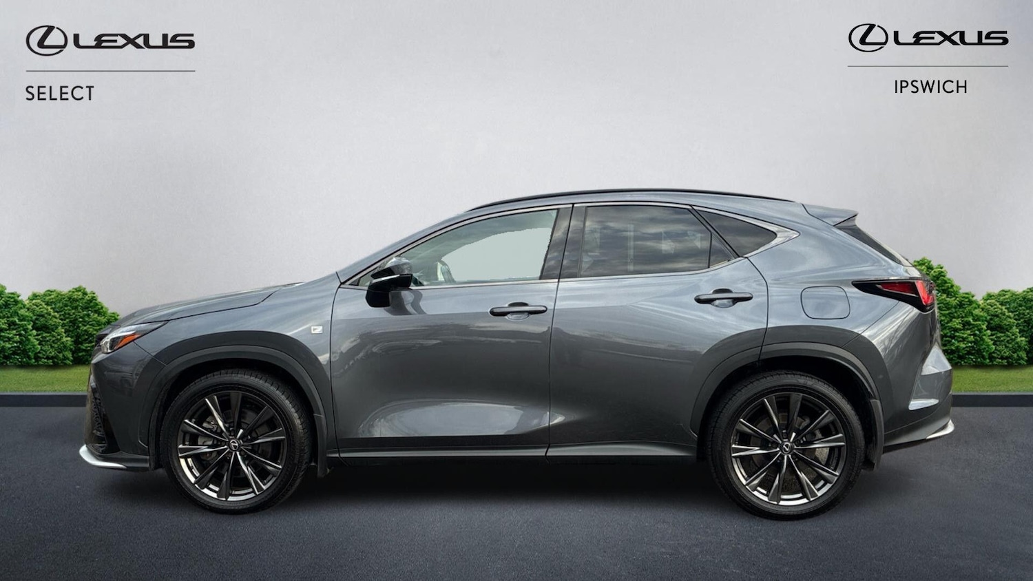 Used Lexus NX 2024 for sale - 77377592: Photo 5