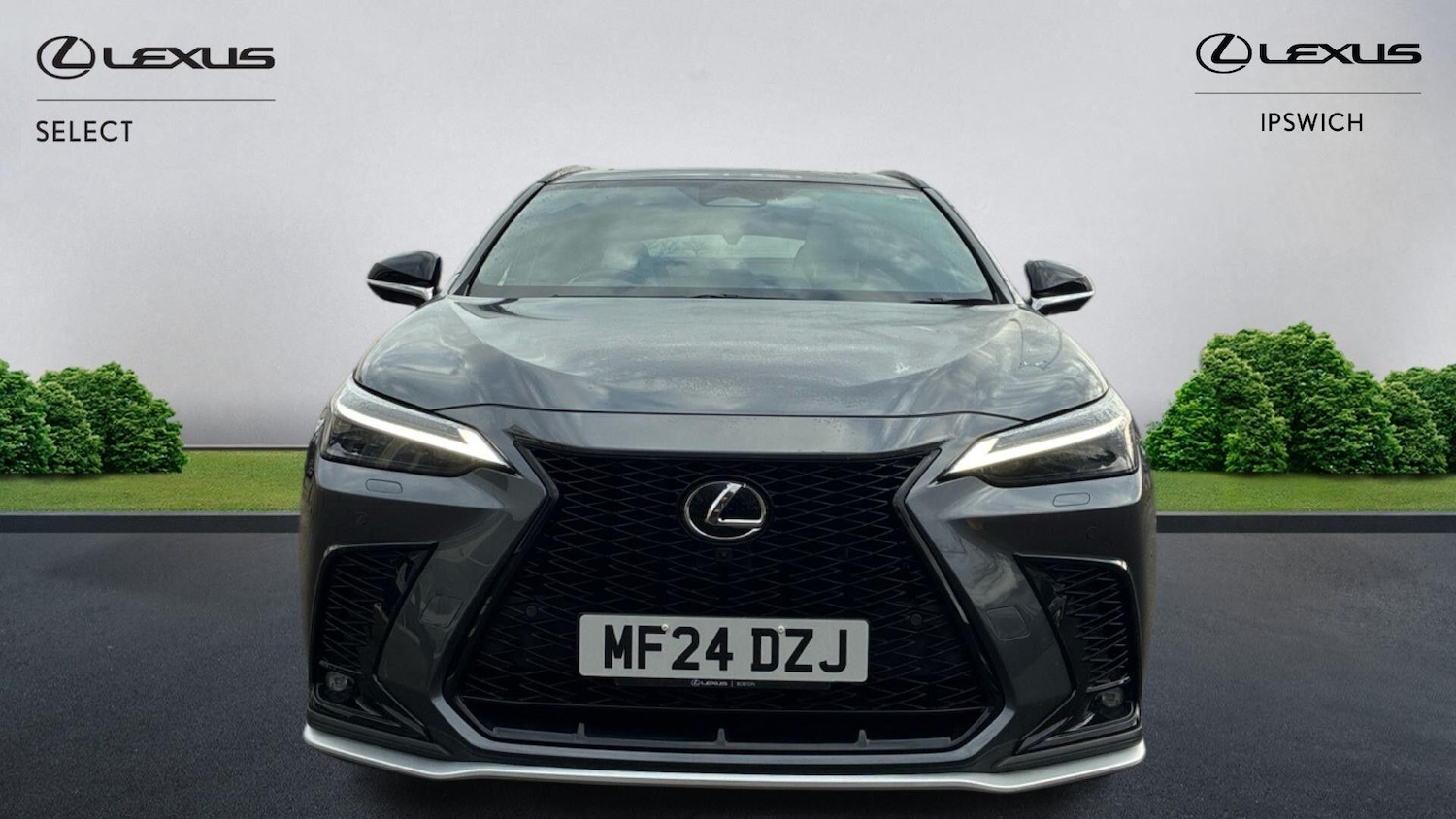 Used Lexus NX 2024 for sale - 77377592: Photo 6