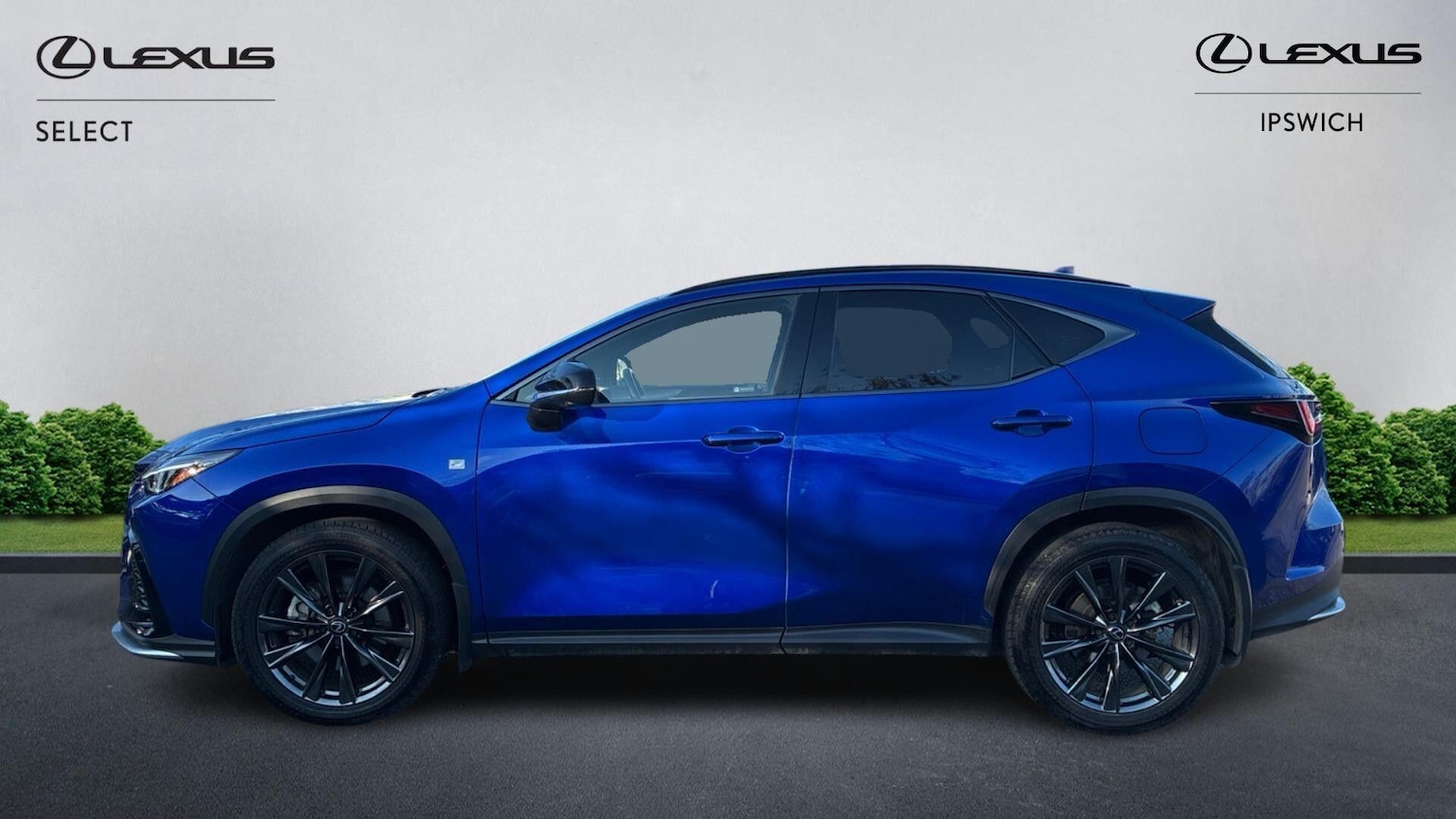 Used Lexus NX 2023 for sale - 77838862: Photo 3
