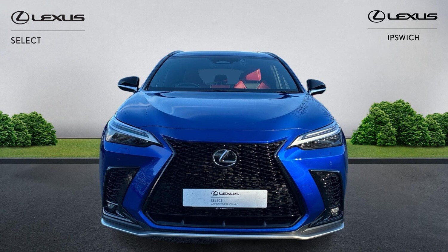 Used Lexus NX 2023 for sale - 77838862: Photo 6