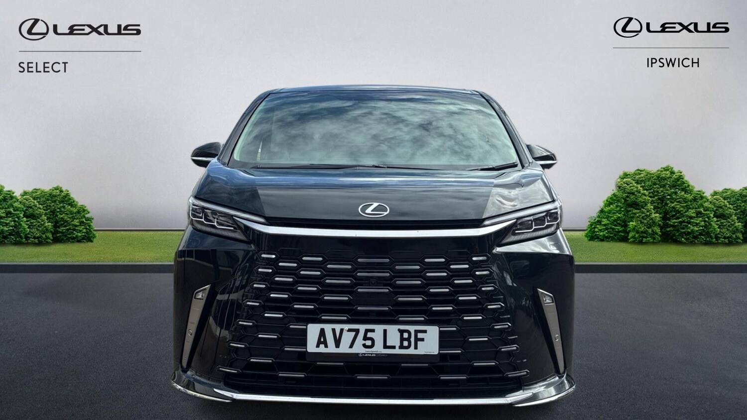 Used Lexus LM for sale - 77909641: Photo 6