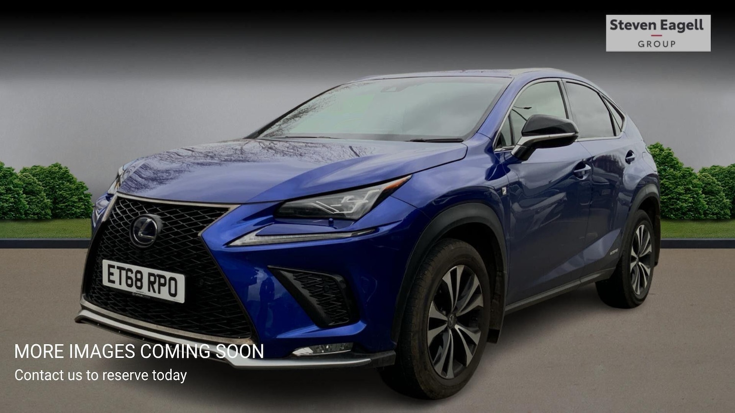 Used Lexus NX for sale - 77704905: Photo 3