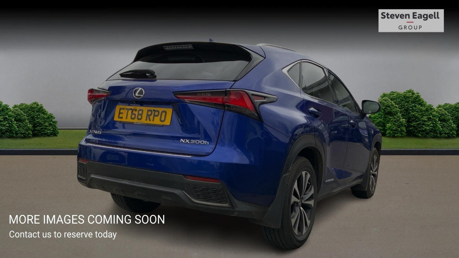Used Lexus NX for sale - 77704905: Photo 6
