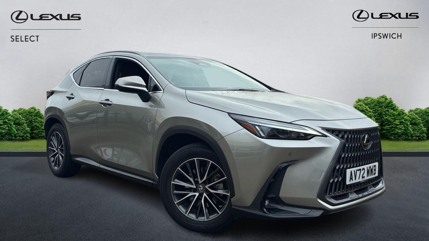 Used Lexus NX 2022 for sale - 77109452: Photo 1