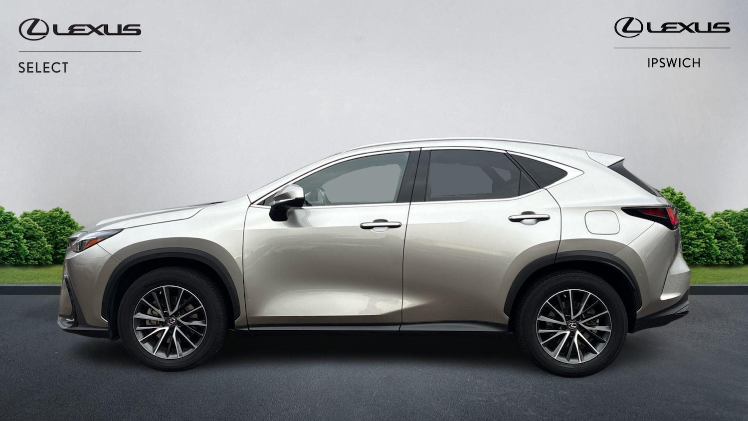 Used Lexus NX 2022 for sale - 77109452: Photo 5