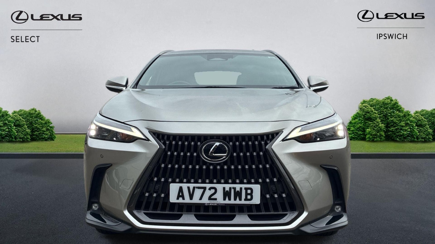 Used Lexus NX 2022 for sale - 77109452: Photo 6