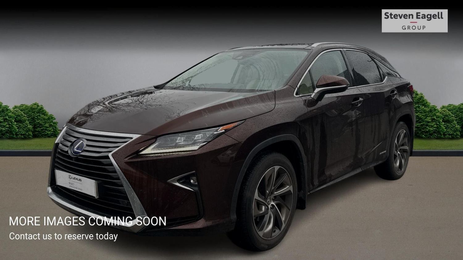 Used Lexus RX for sale - 77410871: Photo 3