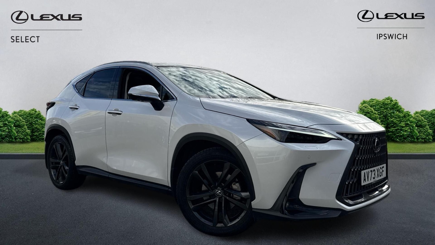 Used Lexus NX 2023 for sale - 76381306: Photo 1