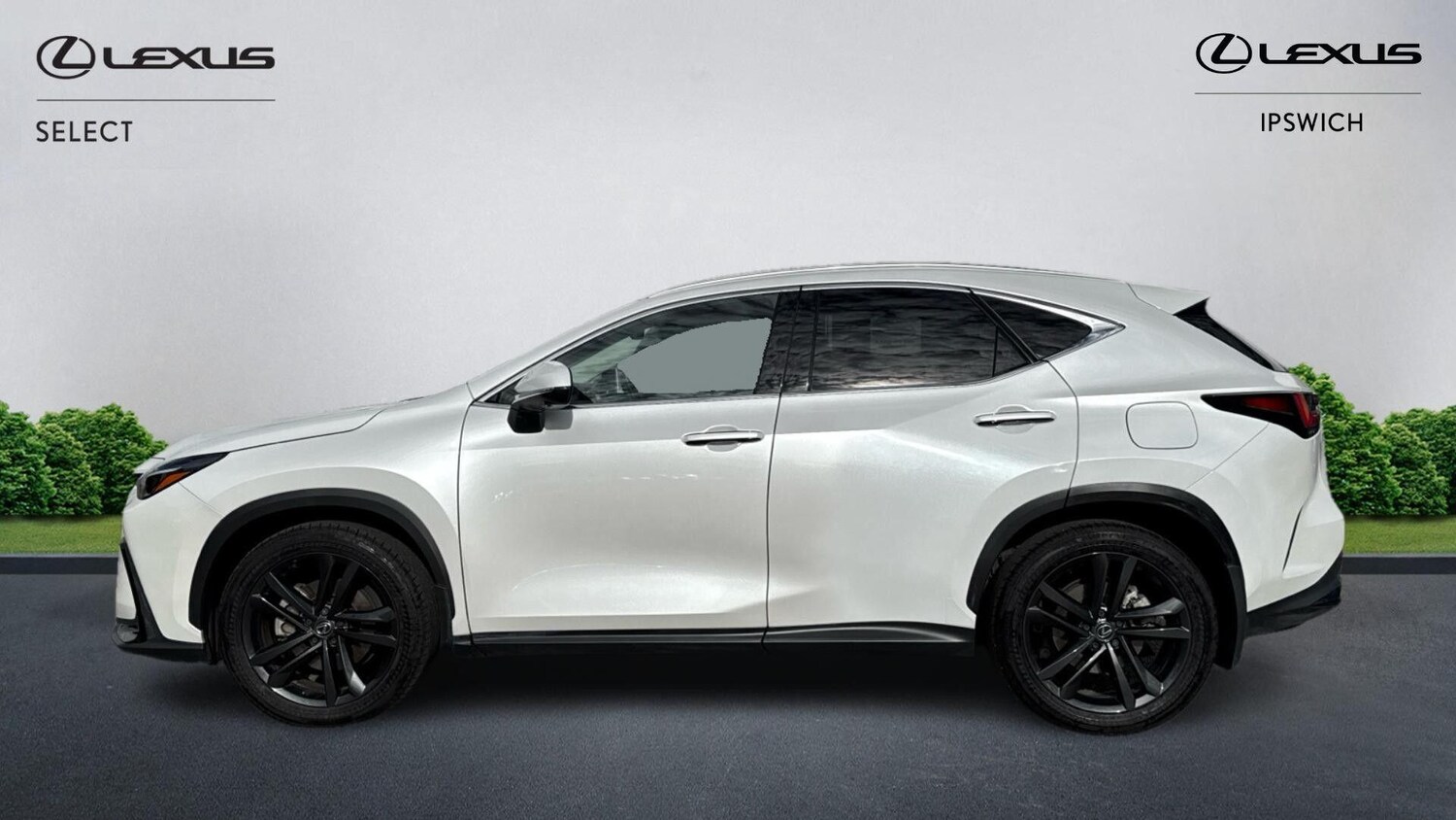 Used Lexus NX 2023 for sale - 76381306: Photo 5