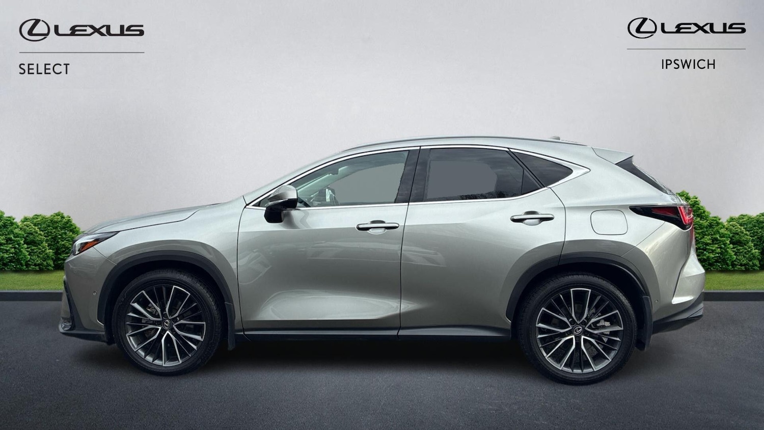 Used Lexus NX for sale - 77216052: Photo 5