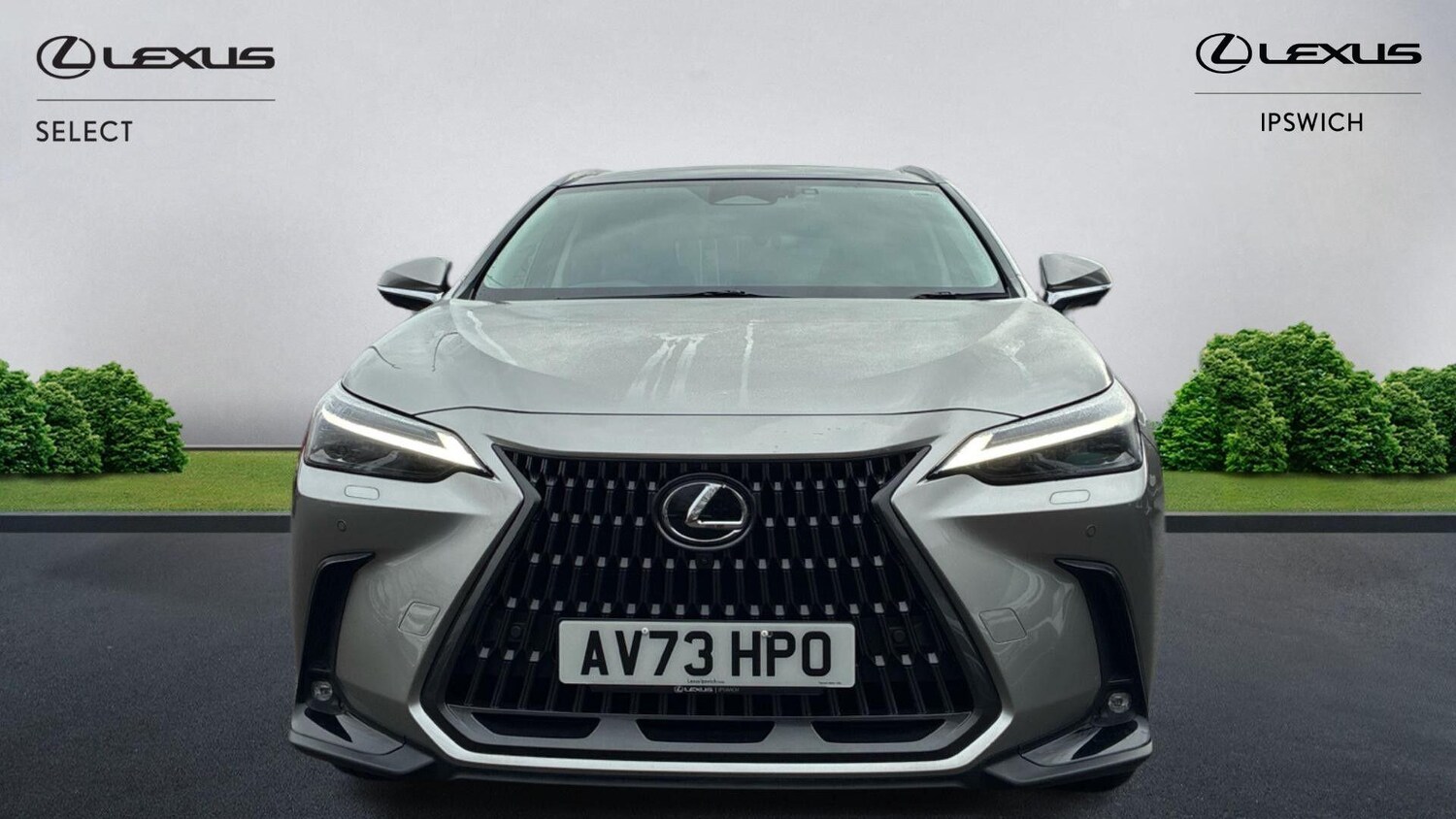 Used Lexus NX for sale - 77216052: Photo 6