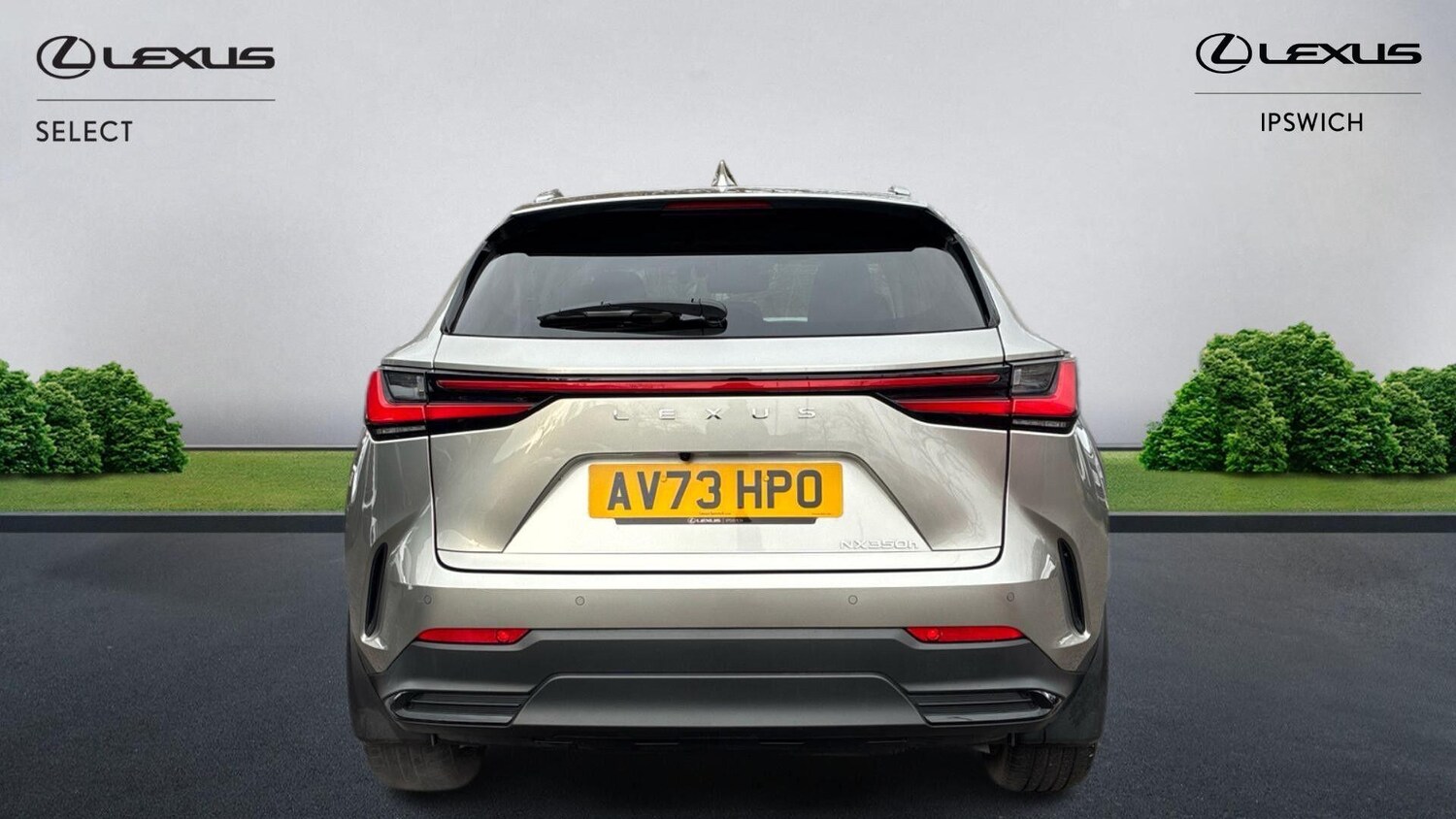 Used Lexus NX for sale - 77216052: Photo 7