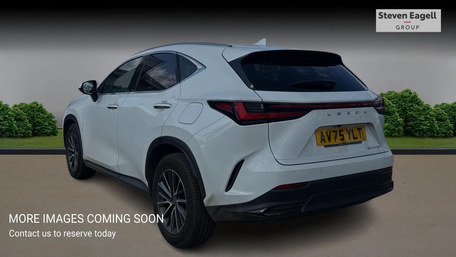 Used Lexus NX 2025 for sale - 77909302: Photo 2