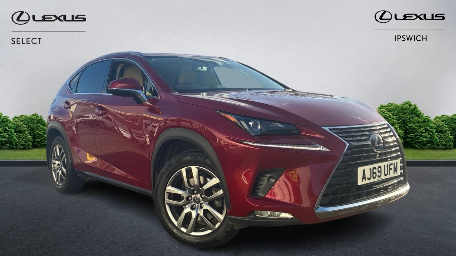 Used Lexus NX 2020 for sale - 76898549: Photo 1